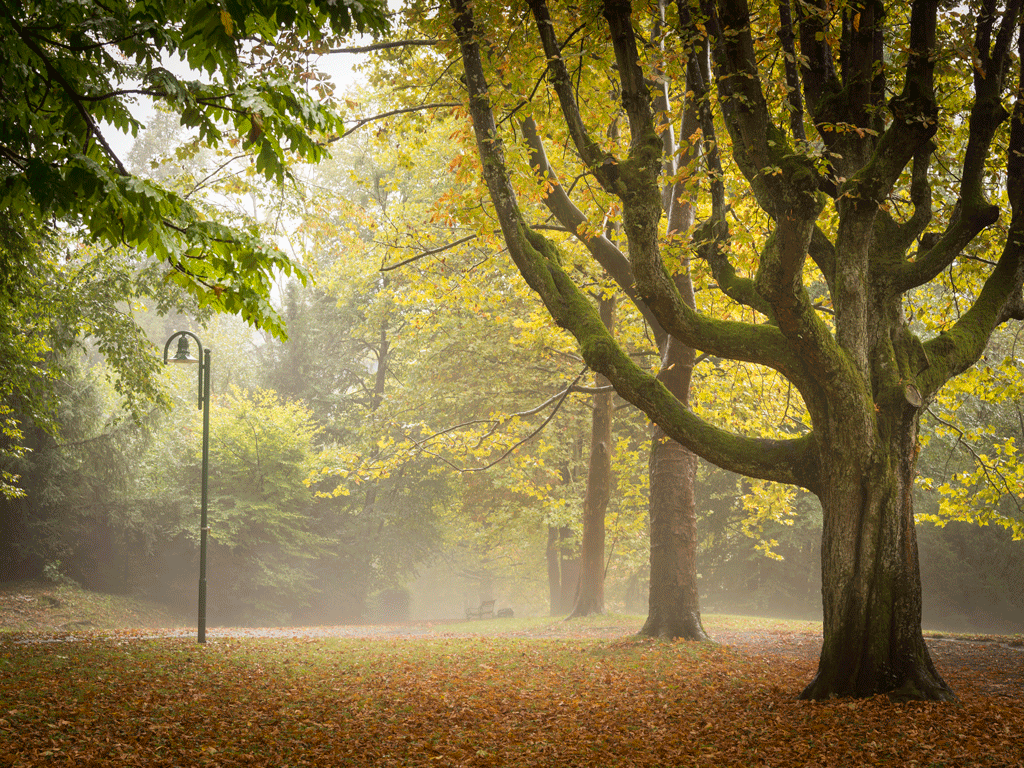 Curpark Bad Gleichenberg